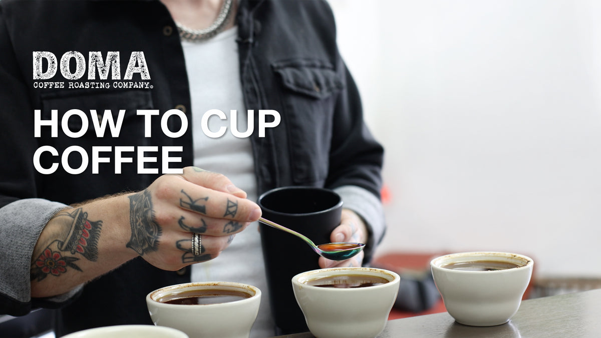 Video on how to cup coffee